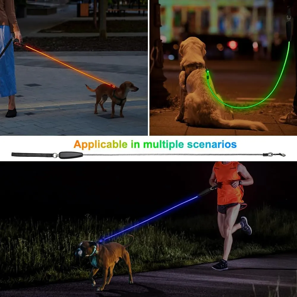 1 Pack LED Dog Leash USB Rechargeable Colorful 5ft Glow-in-Dark Safety Leash with Steel Cable & Quick Clip for Small Medium Large Dogs (Colorful, 5 feet)