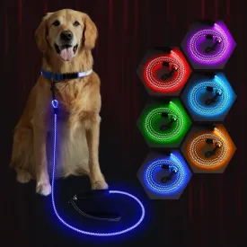 1 Pack LED Dog Leash USB Rechargeable Colorful 5ft Glow-in-Dark Safety Leash with Steel Cable & Quick Clip for Small Medium Large Dogs (Colorful, 5 feet)