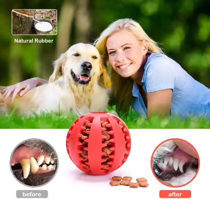 4 Pack Multi-Color Interactive Dog Ball Toy, Dental Cleaning Treat Dispenser, (Mint, Red, Pink, Ocean Blue)