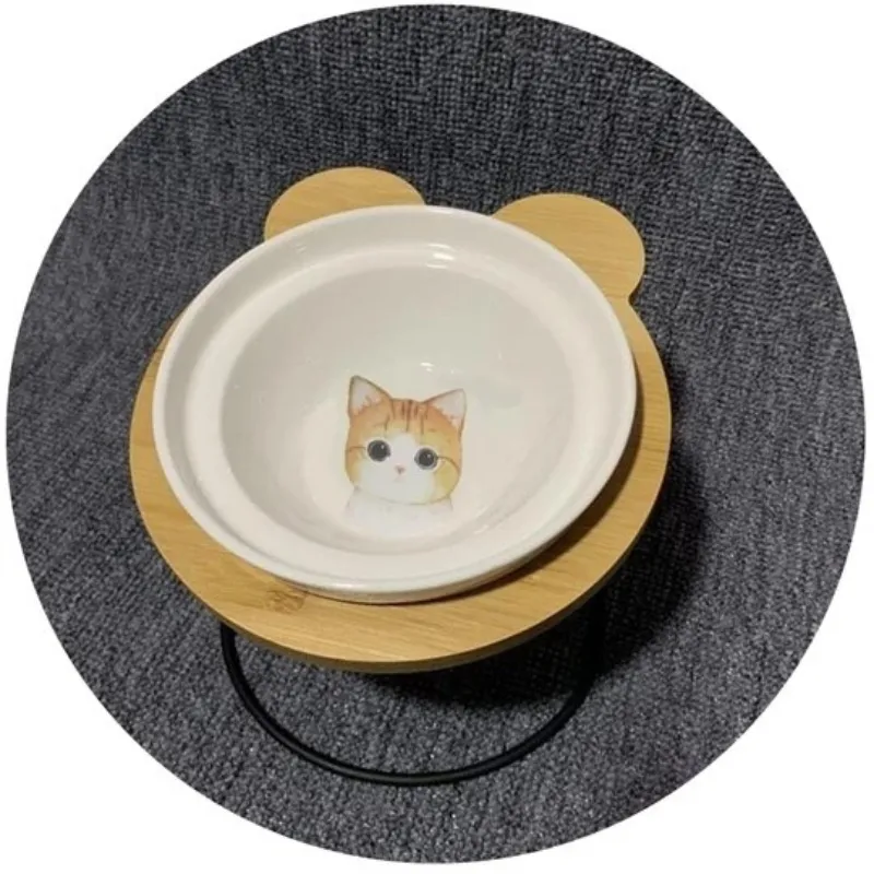 Adorable Cat Feeding Bowls