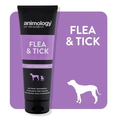 Animology Flea & Tick Shampoo 250ml