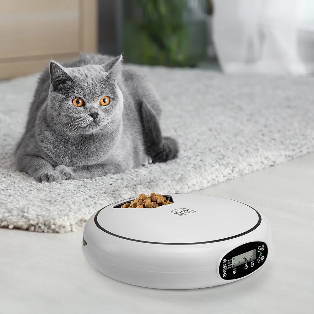 Automatic Pet Feeder for Dry & Wet Food