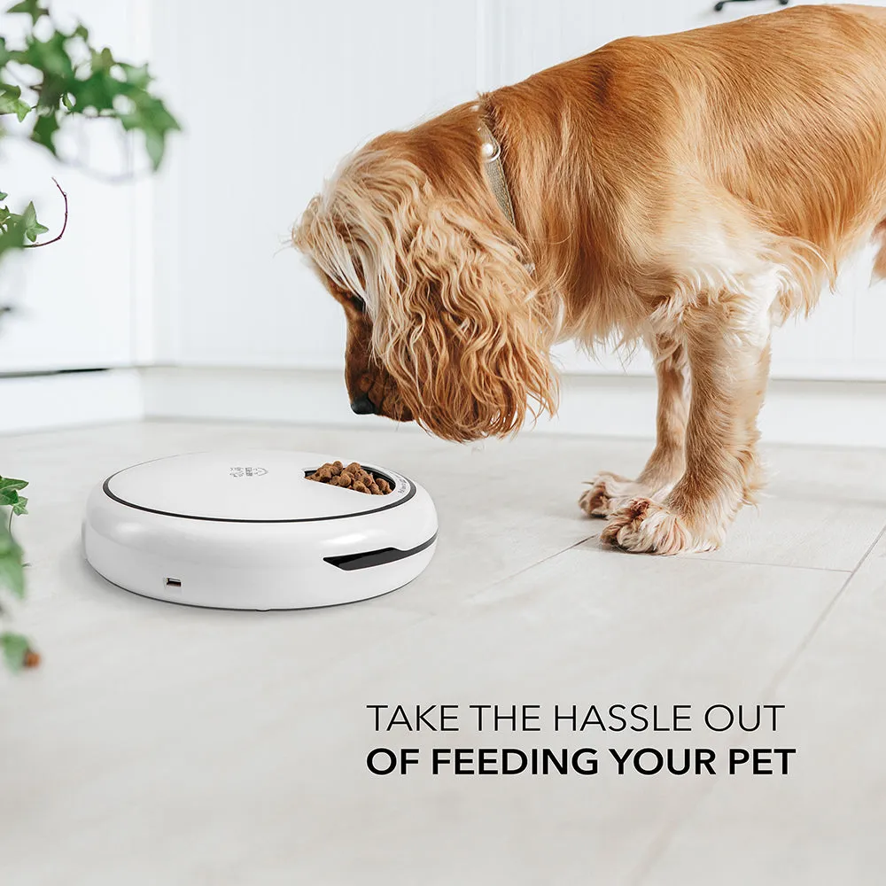 Automatic Pet Feeder for Dry & Wet Food