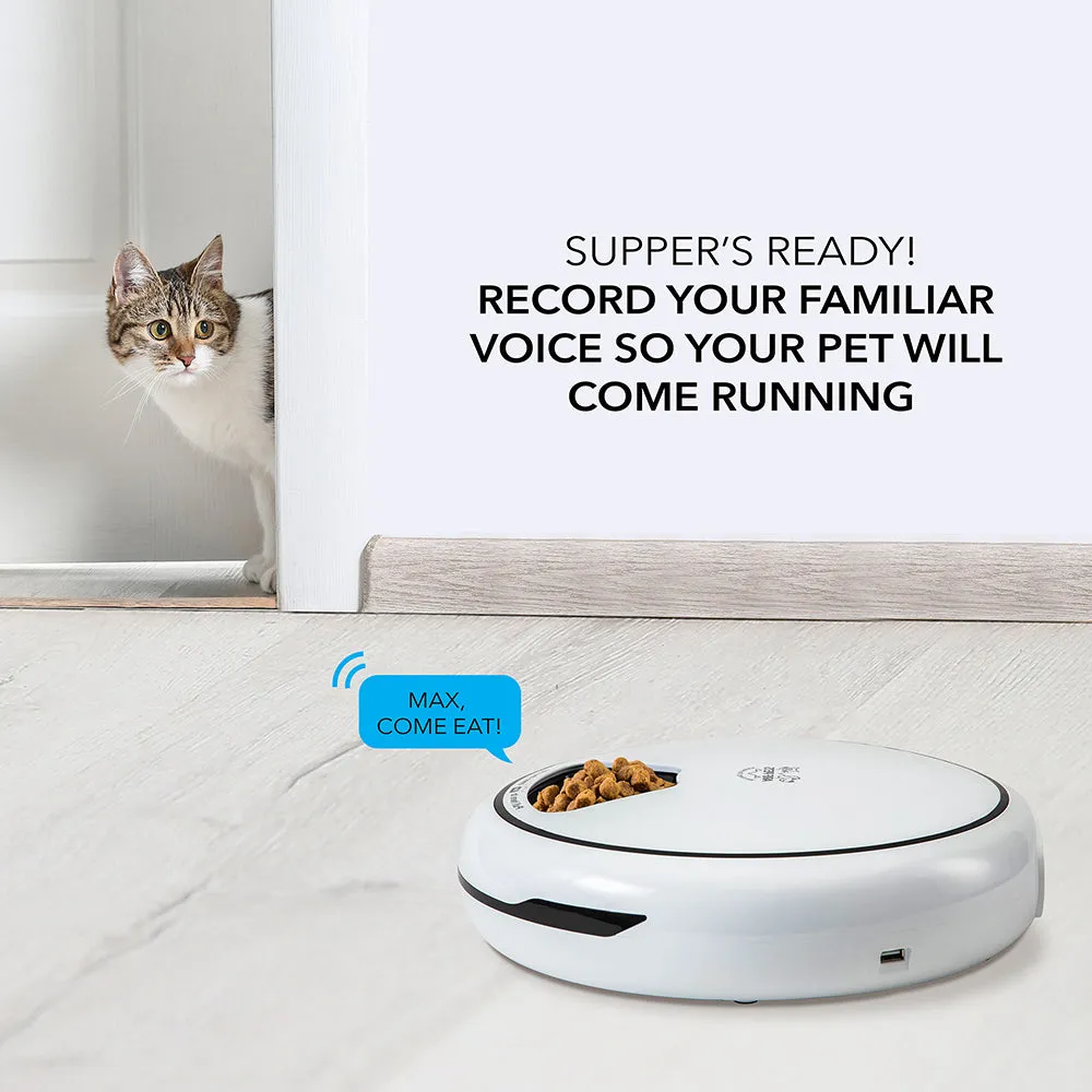 Automatic Pet Feeder for Dry & Wet Food