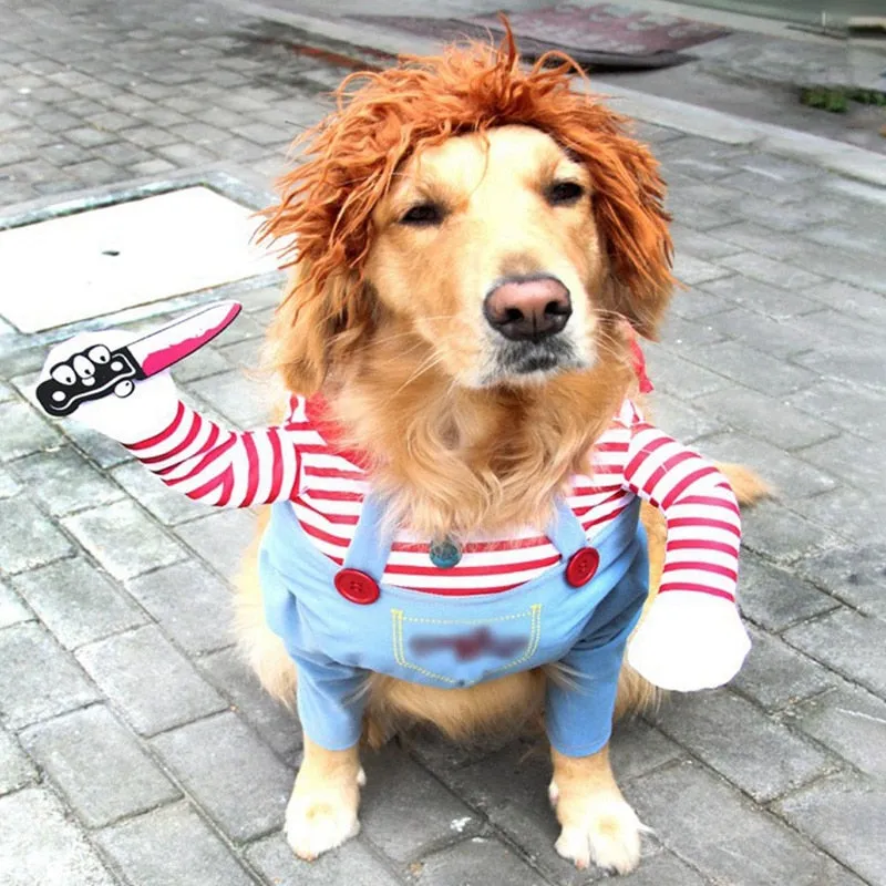 Best Funny Cosplay Costume Dog Cat Clothes Holding a Knife Set Outfits