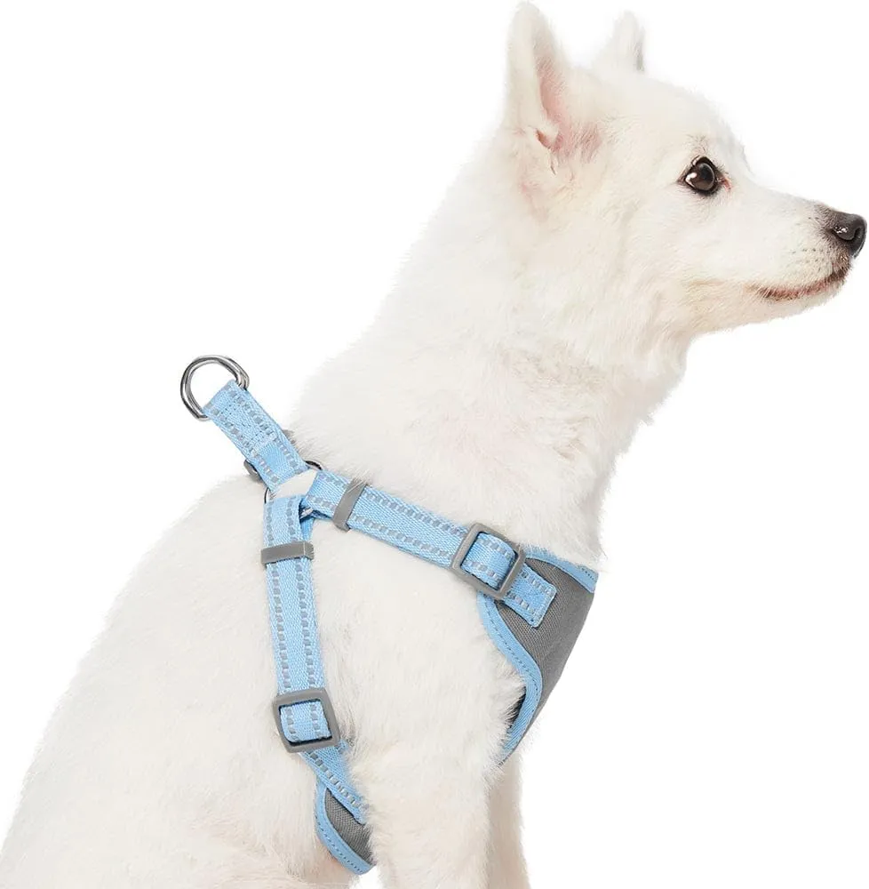 Blueberry Pet Essentials Dog Harness, Dog Collar, Dog Leash & Dog Seat Belt for Car, Reflective Adjustable Harness Set for Medium & Large Dogs, Safety-Conscious Travelers, Baby Blue