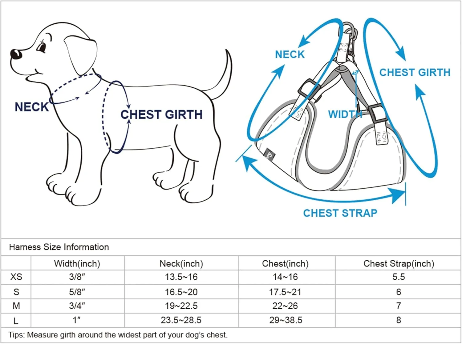 Blueberry Pet Essentials Dog Harness, Dog Collar, Dog Leash & Dog Seat Belt for Car, Reflective Adjustable Harness Set for Medium & Large Dogs, Safety-Conscious Travelers, Baby Blue