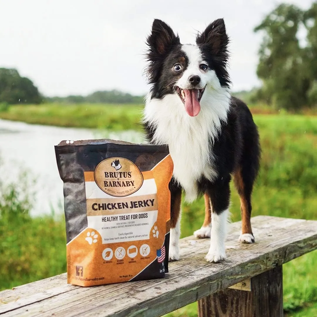 BRUTUS & BARNABY Chicken Jerky Dog Treats- Dehydrated Crunchy USA Premium Fillets, Grain-Free, Preservative-Free, No Fillers. All Natural Chicken Strips are Great for Dogs and Cats (10oz)