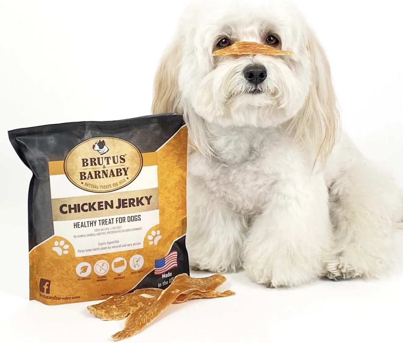 BRUTUS & BARNABY Chicken Jerky Dog Treats- Dehydrated Crunchy USA Premium Fillets, Grain-Free, Preservative-Free, No Fillers. All Natural Chicken Strips are Great for Dogs and Cats (10oz)