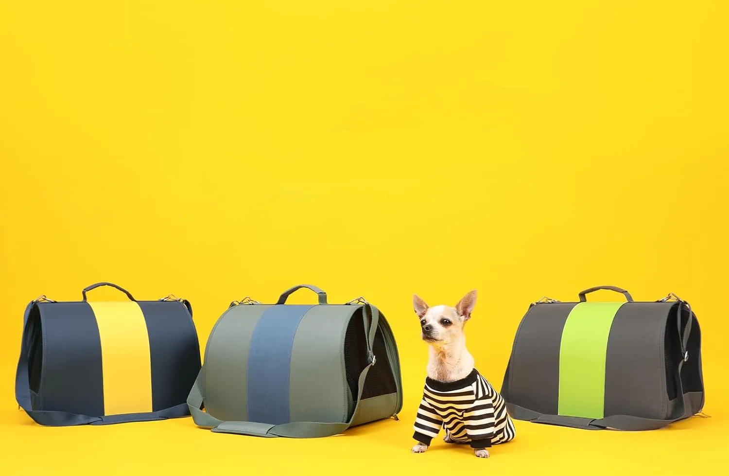 Cat, Dog Carrier for Medium Large Cat up to 30 Lbs, TSA Airline Approved Carrier Soft Sided, Collapsible Travel Puppy Carrier (Blue and Yellow, Medium)