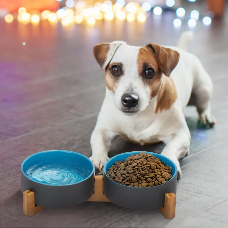 Color Mixed Ceramic Dog Bowl Set
