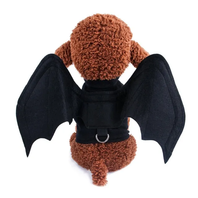 Cute Halloween Bat Wings Costumes