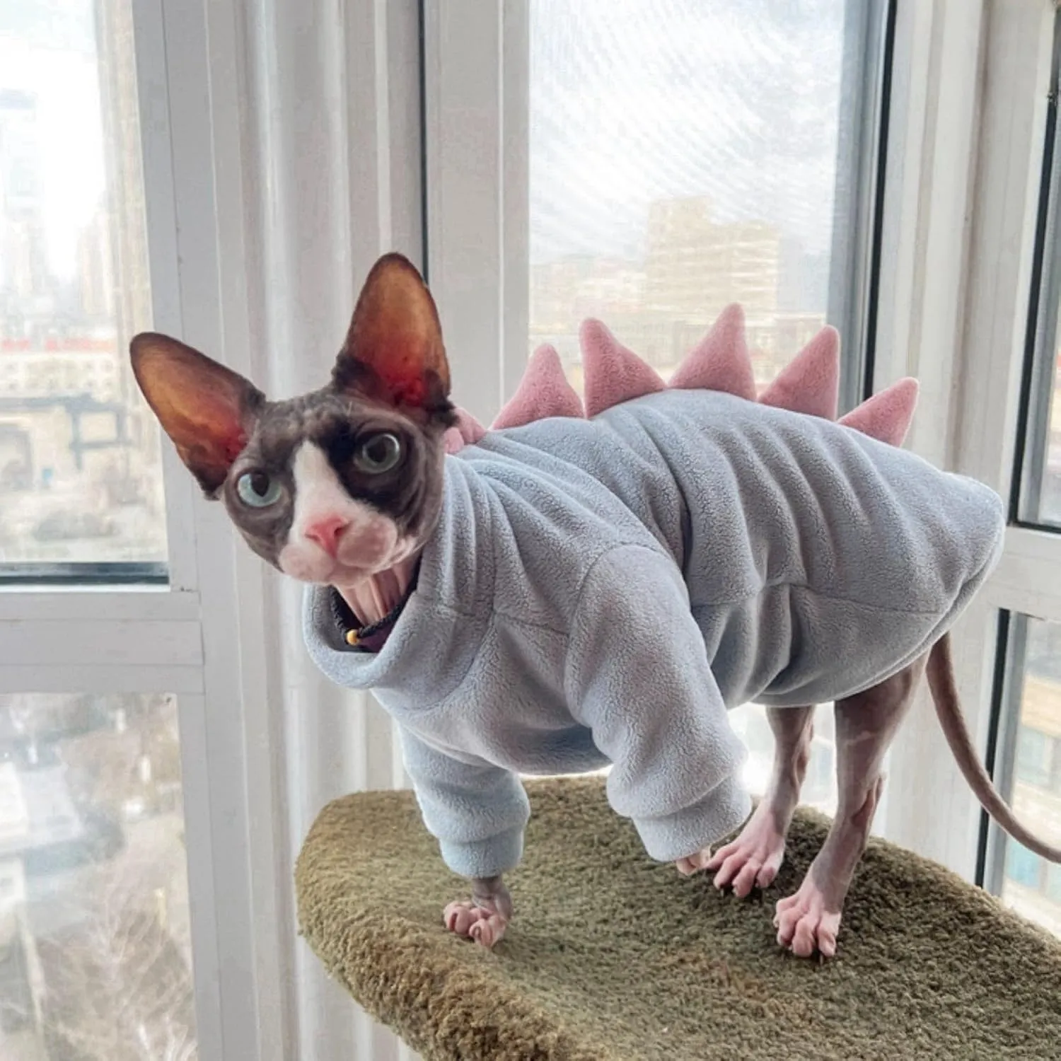 Dinosaur Sphynx Cat Clothes, Soft Polar Fleece Sweater for Cat, Elastic Pet Clothes Thick Winter Warm Outfit for Hairless Cat, Devon, Cornish, Small Dogs Apparel with Sleeves (Sky Blue, Medium)