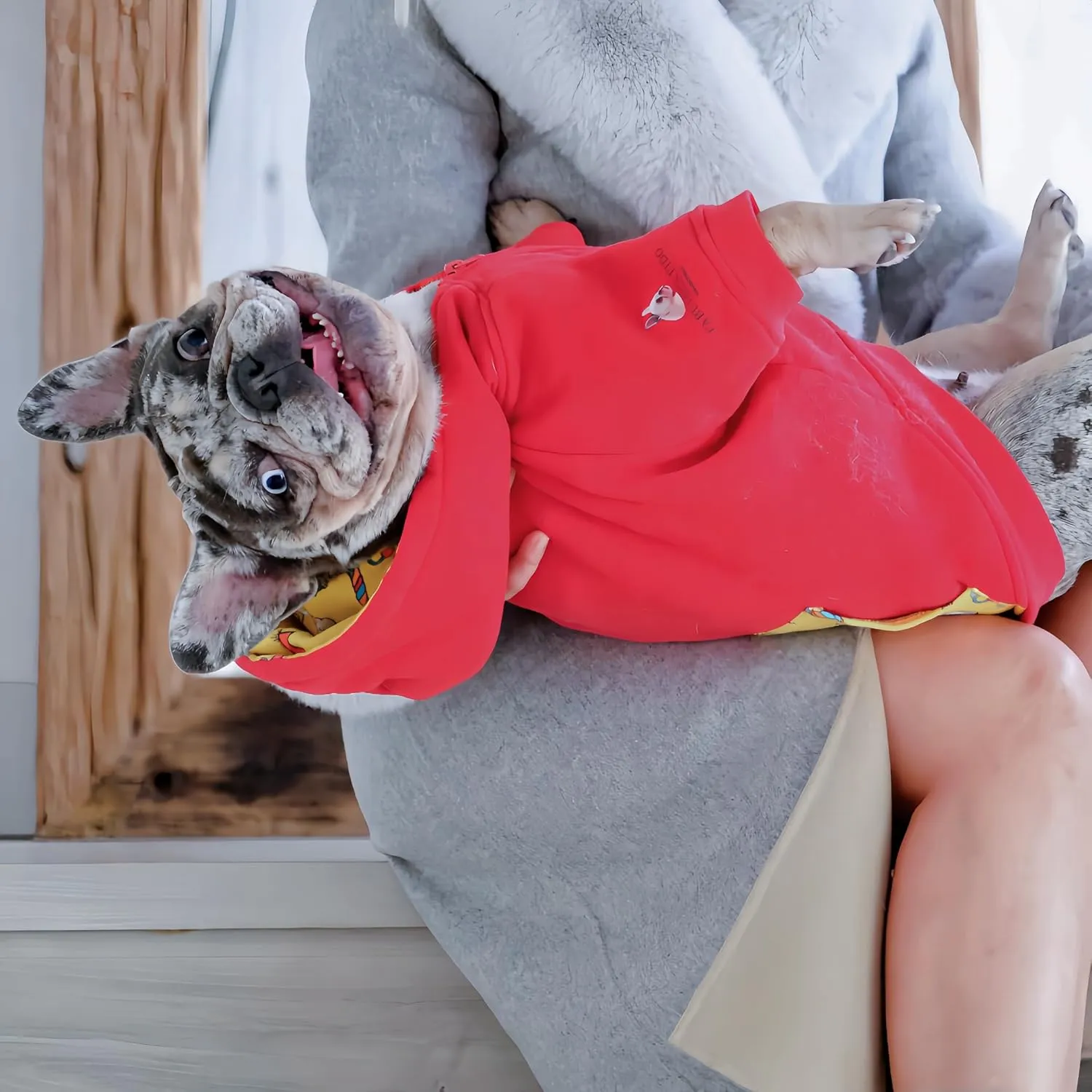 Dog Hoodie - French Bulldog Clothes, Dog Apparel & Accessories - Cotton Pet Clothes for Dogs with Pocket - Breathable and Skin-Friendly Sweatshirt for Small Dog Breeds (Small)