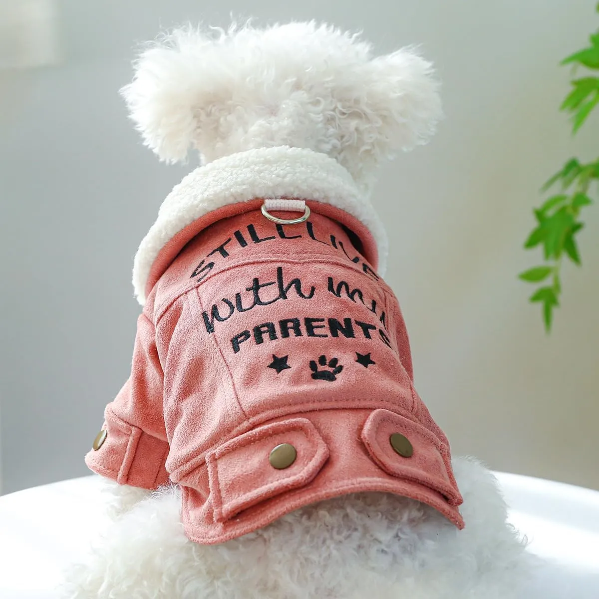 Dog Leather Jacket Fleece Lined Puppy Leather Coat Small Dog Winter Stylish Jacket Cold Weather Chihuahua Yorkie Warm Windproof Waterproof Coats Pet Christmas Holiday Birthday Dog Clothes