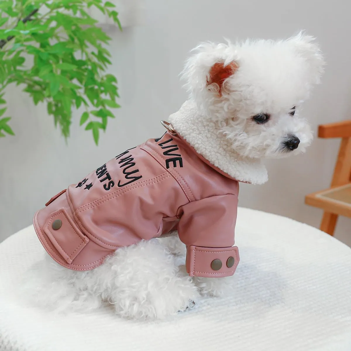 Dog Leather Jacket Fleece Lined Puppy Leather Coat Small Dog Winter Stylish Jacket Cold Weather Chihuahua Yorkie Warm Windproof Waterproof Coats Pet Christmas Holiday Birthday Dog Clothes