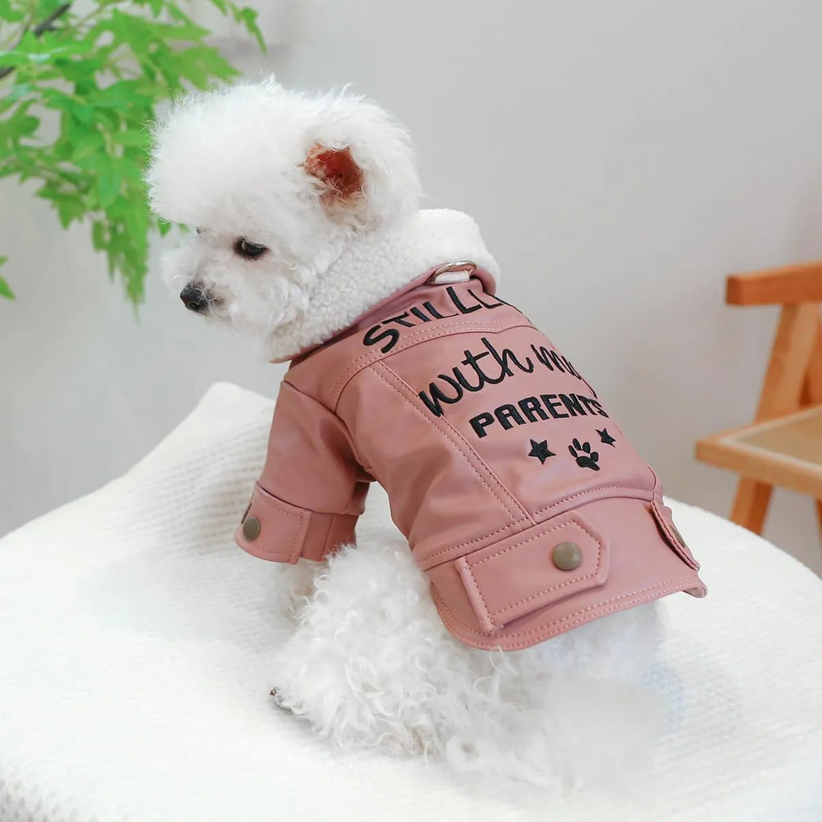 Dog Leather Jacket Fleece Lined Puppy Leather Coat Small Dog Winter Stylish Jacket Cold Weather Chihuahua Yorkie Warm Windproof Waterproof Coats Pet Christmas Holiday Birthday Dog Clothes