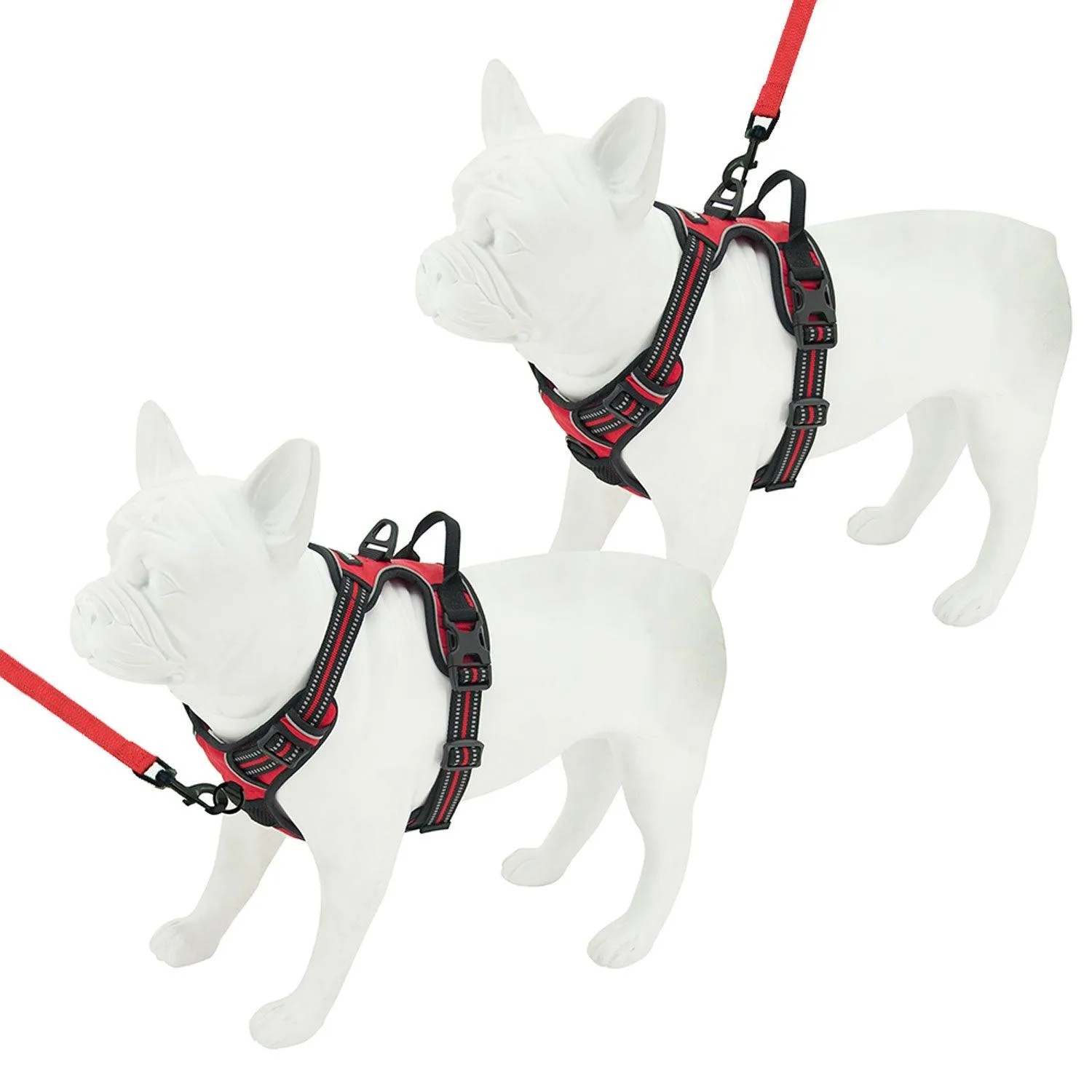Dual-Attachment Dog Harness &  Leash Set