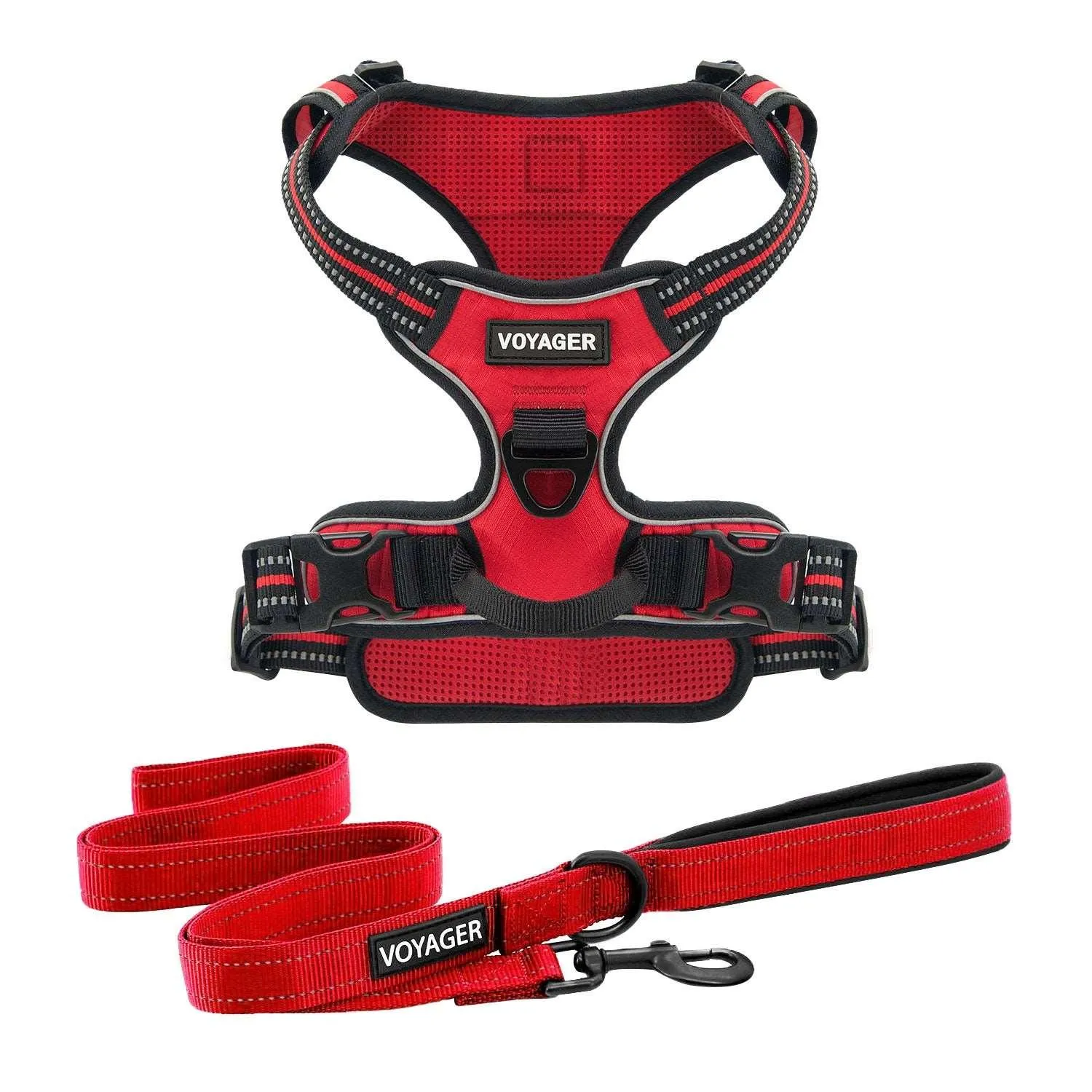 Dual-Attachment Dog Harness &  Leash Set