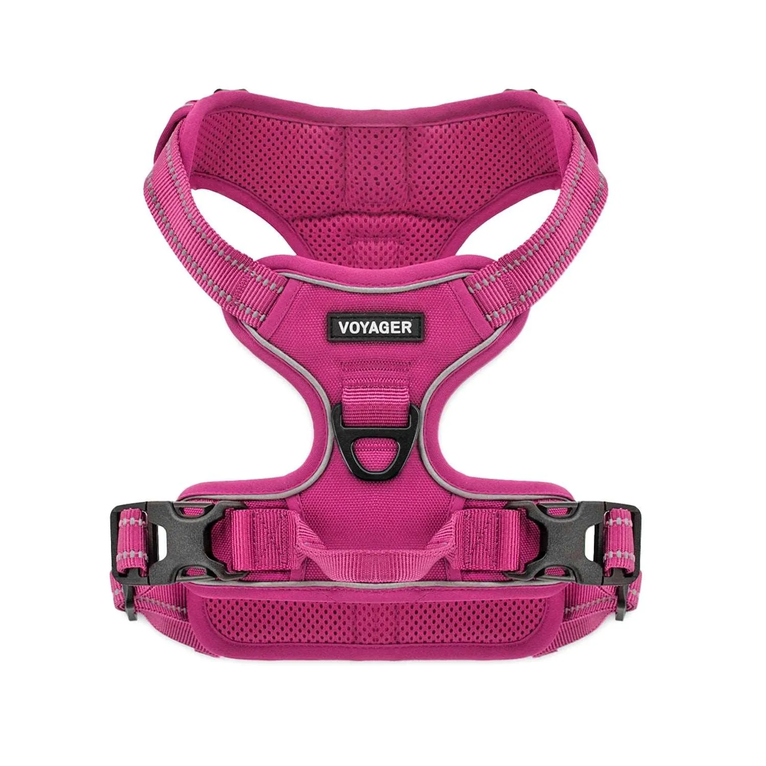 Dual-Attachment Dog Harness &  Leash Set