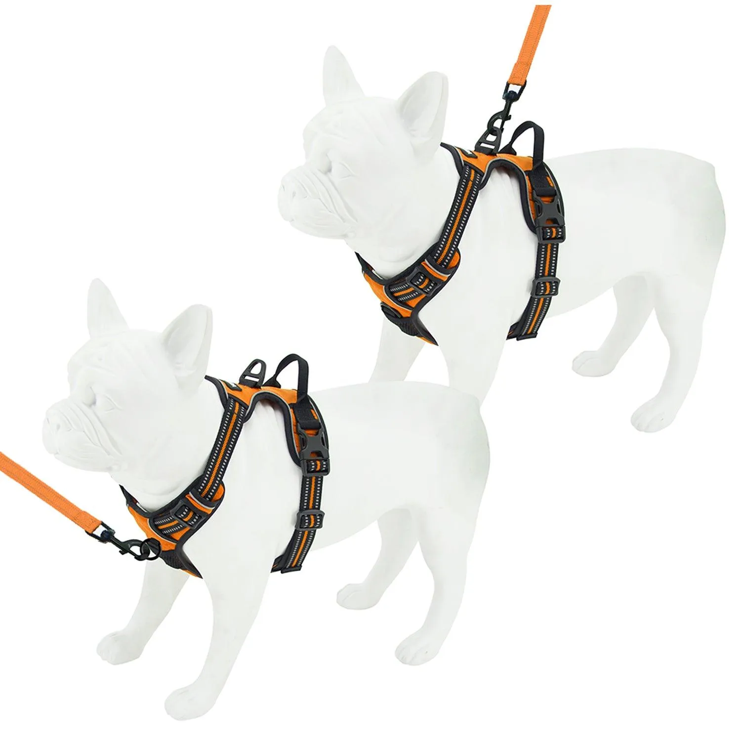 Dual-Attachment Dog Harness &  Leash Set