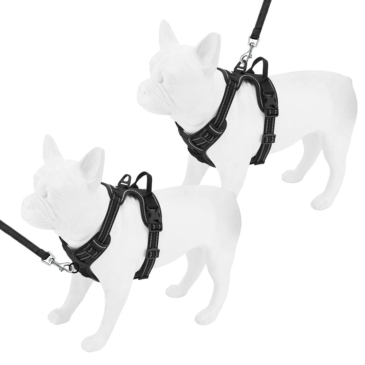 Dual-Attachment Dog Harness &  Leash Set