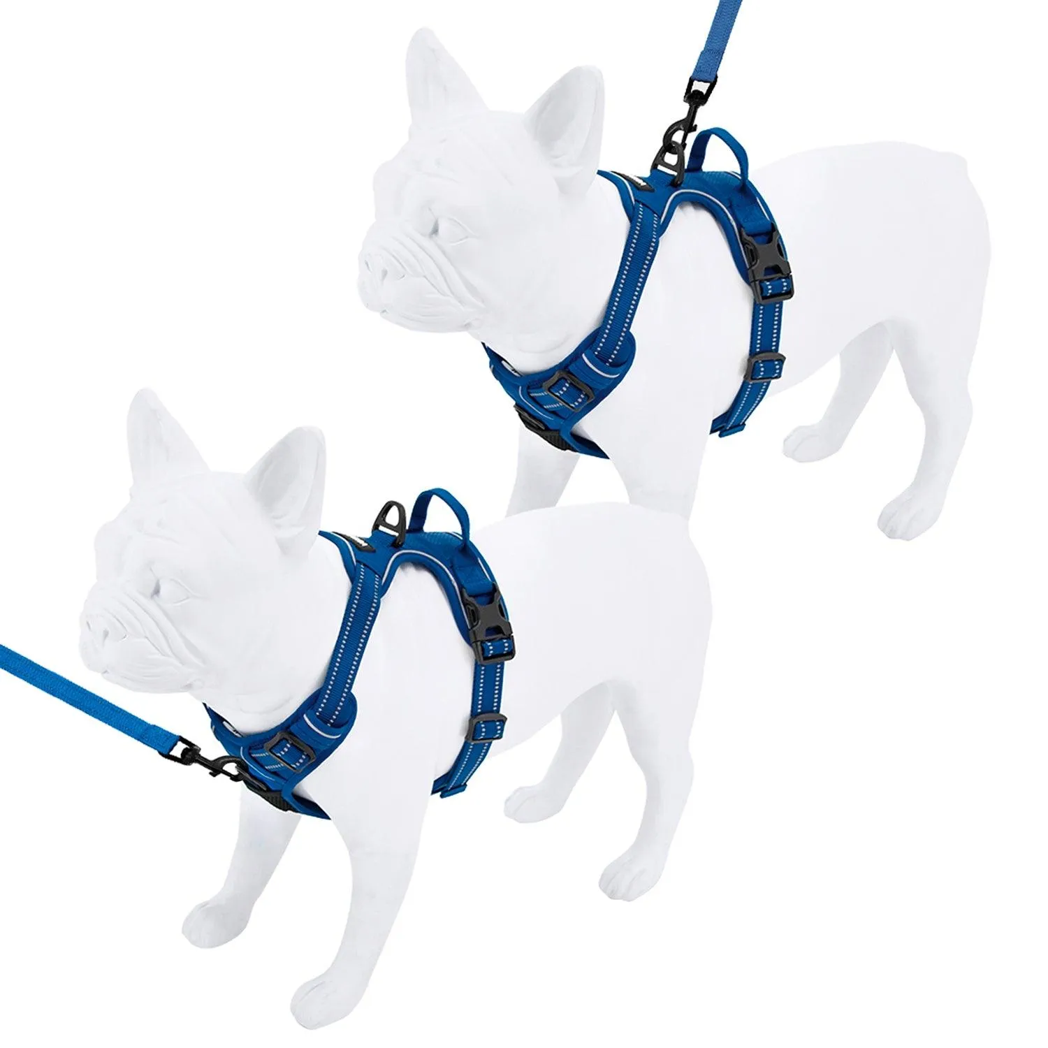 Dual-Attachment Dog Harness &  Leash Set