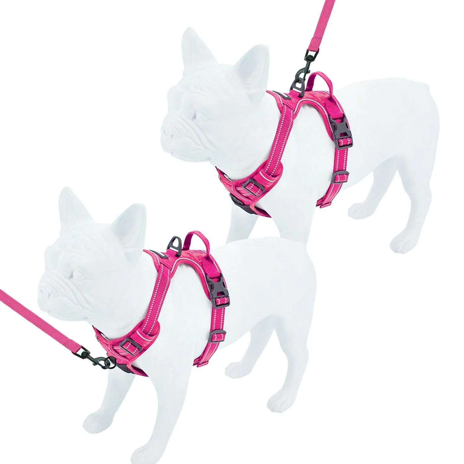 Dual-Attachment Dog Harness &  Leash Set