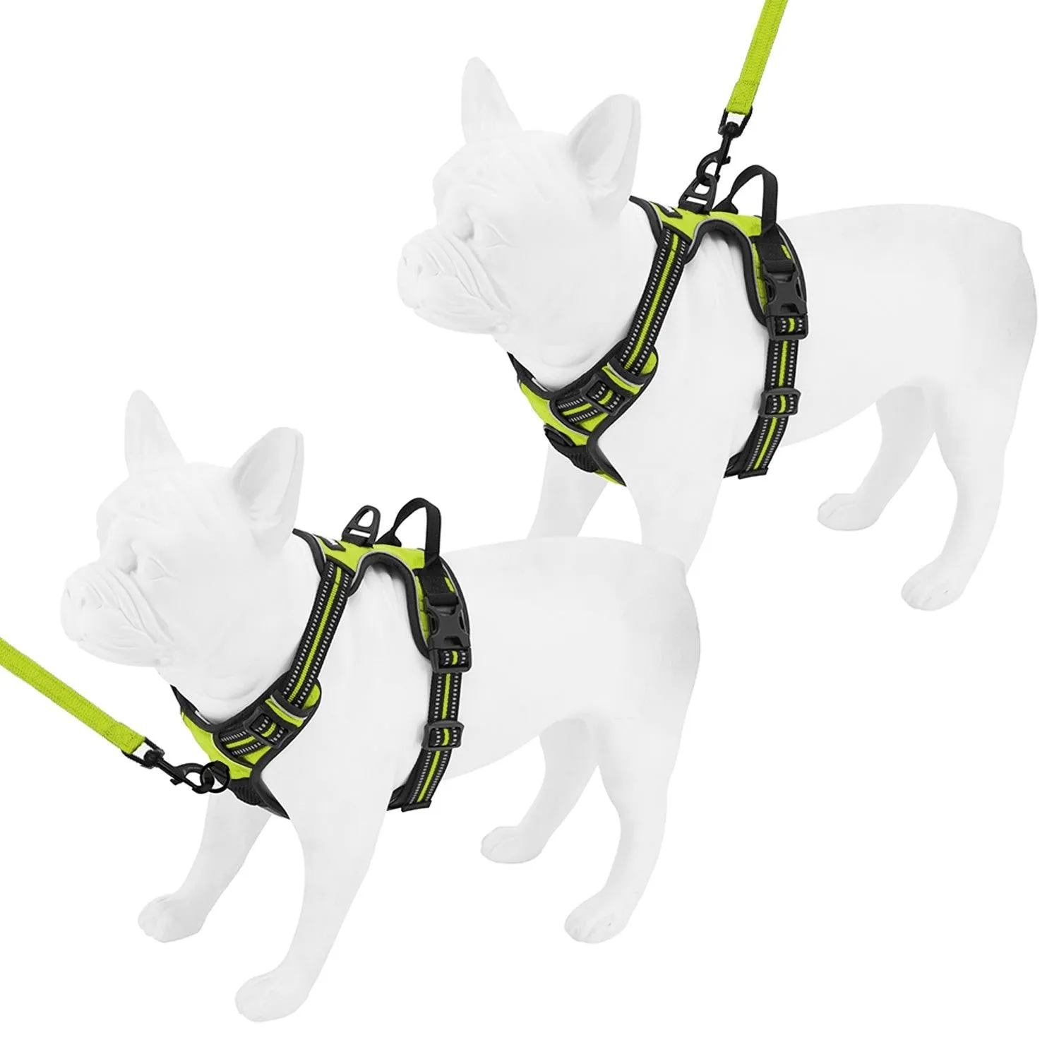 Dual-Attachment Dog Harness &  Leash Set