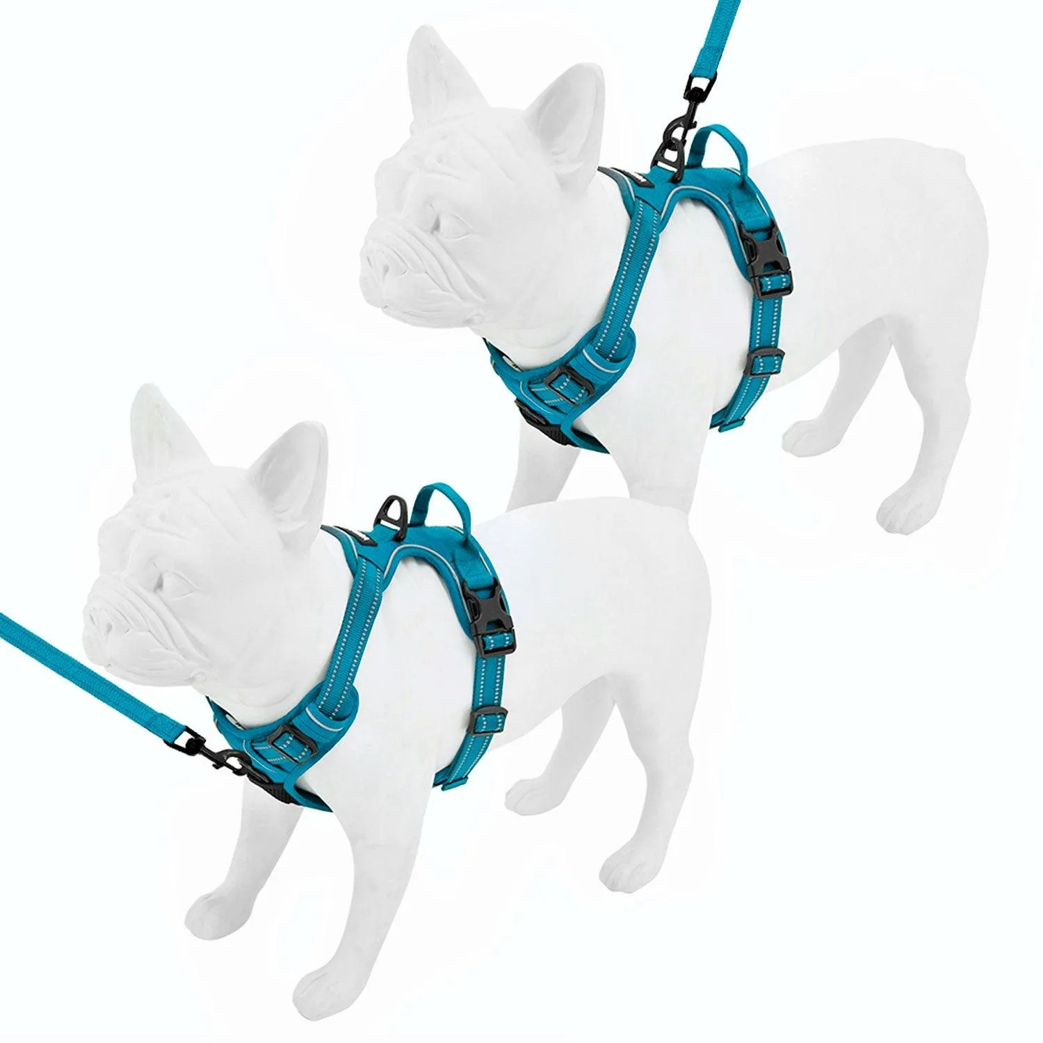 Dual-Attachment Dog Harness &  Leash Set