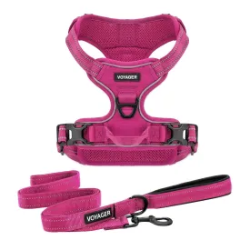 Dual-Attachment Dog Harness &  Leash Set