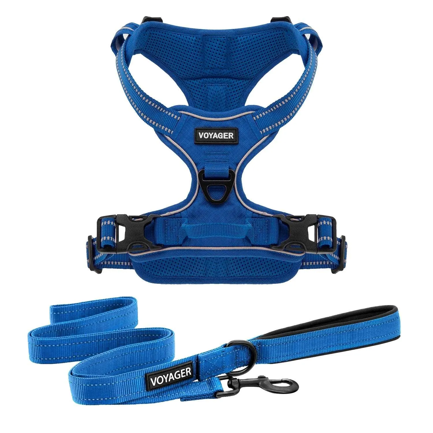 Dual-Attachment Dog Harness &  Leash Set