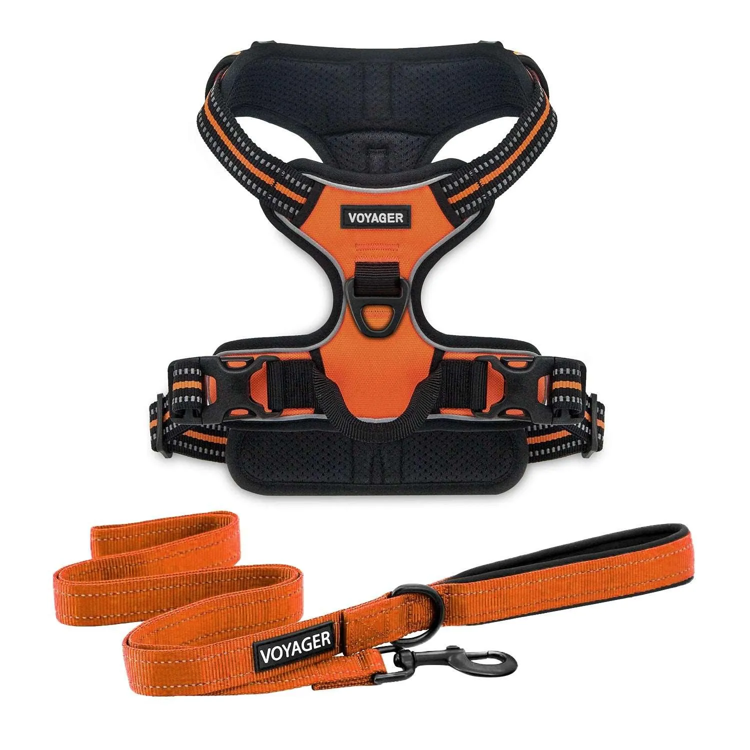 Dual-Attachment Dog Harness &  Leash Set