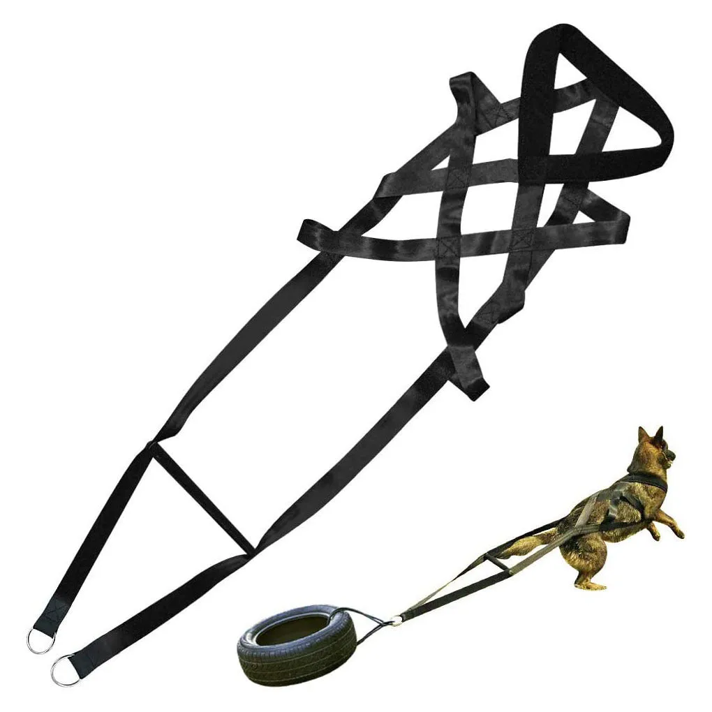 Durable Dog Leash and Chest Strap Set