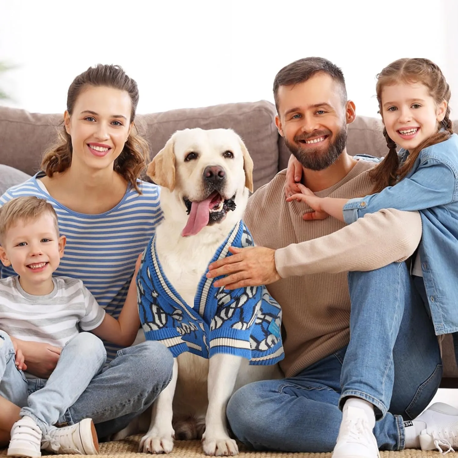Dynamic Letter Patterned Dog Sweater,Pet Sweaters for Dogs,Dog Cardigan,Knitted Pet Clothing,Pet Clothes,Suitable for All Seasons and Types of Dogs,(Blue M)