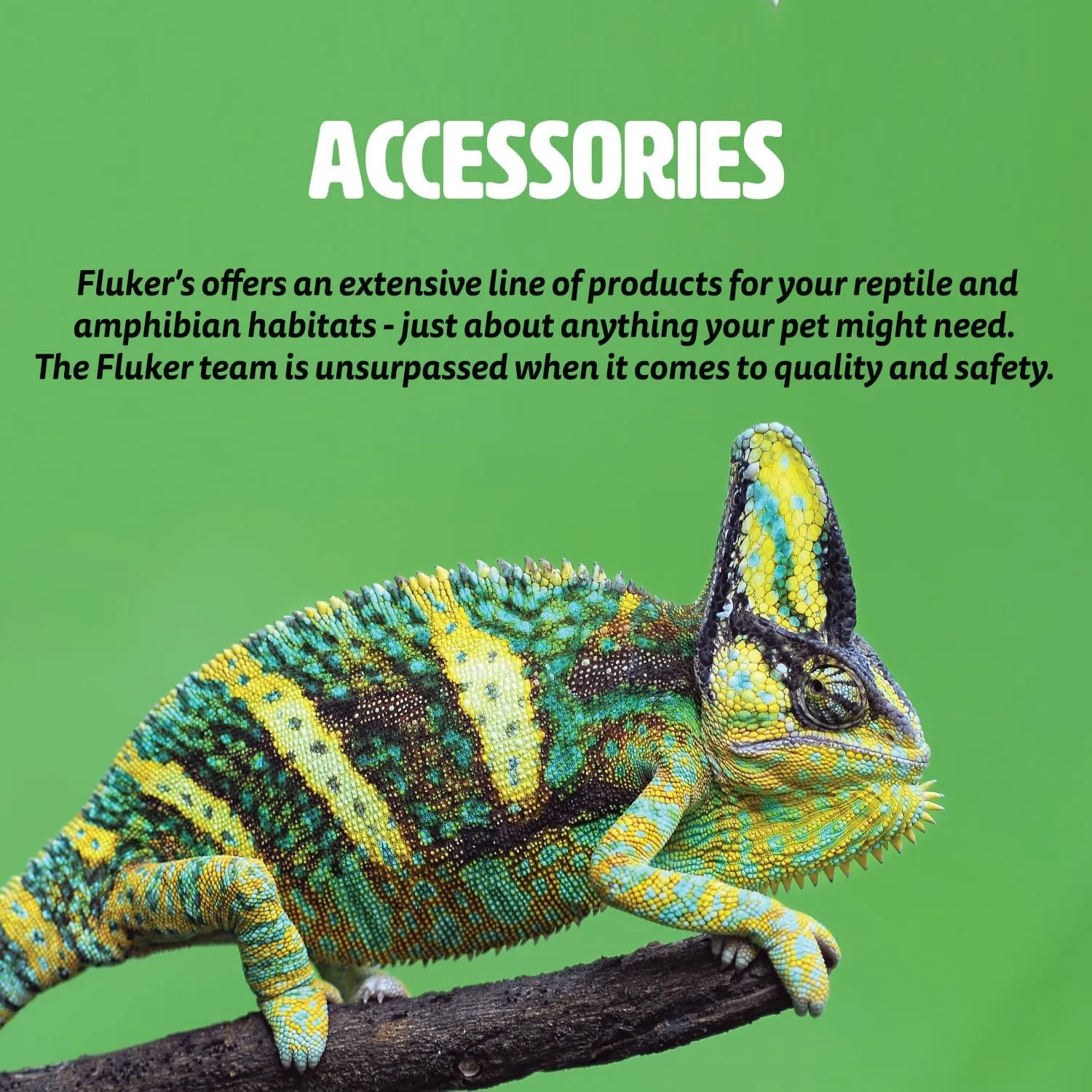 Fluker's Food and Water Reptile Corner Bowl, Medium 6", colors may slightly vary