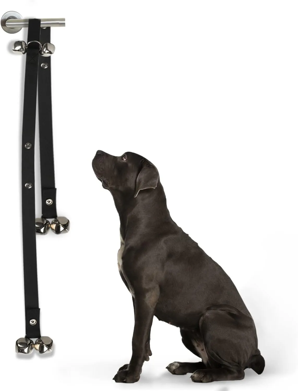 FurDreams Adjustable Dog Training Doorbells - Durable Puppy Toilet Training Bells with Loud Jingle for Easy Outdoor Access