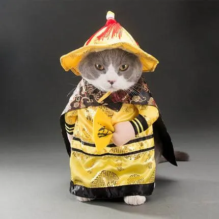 Golden King Empire Cosplay Pet Costumes