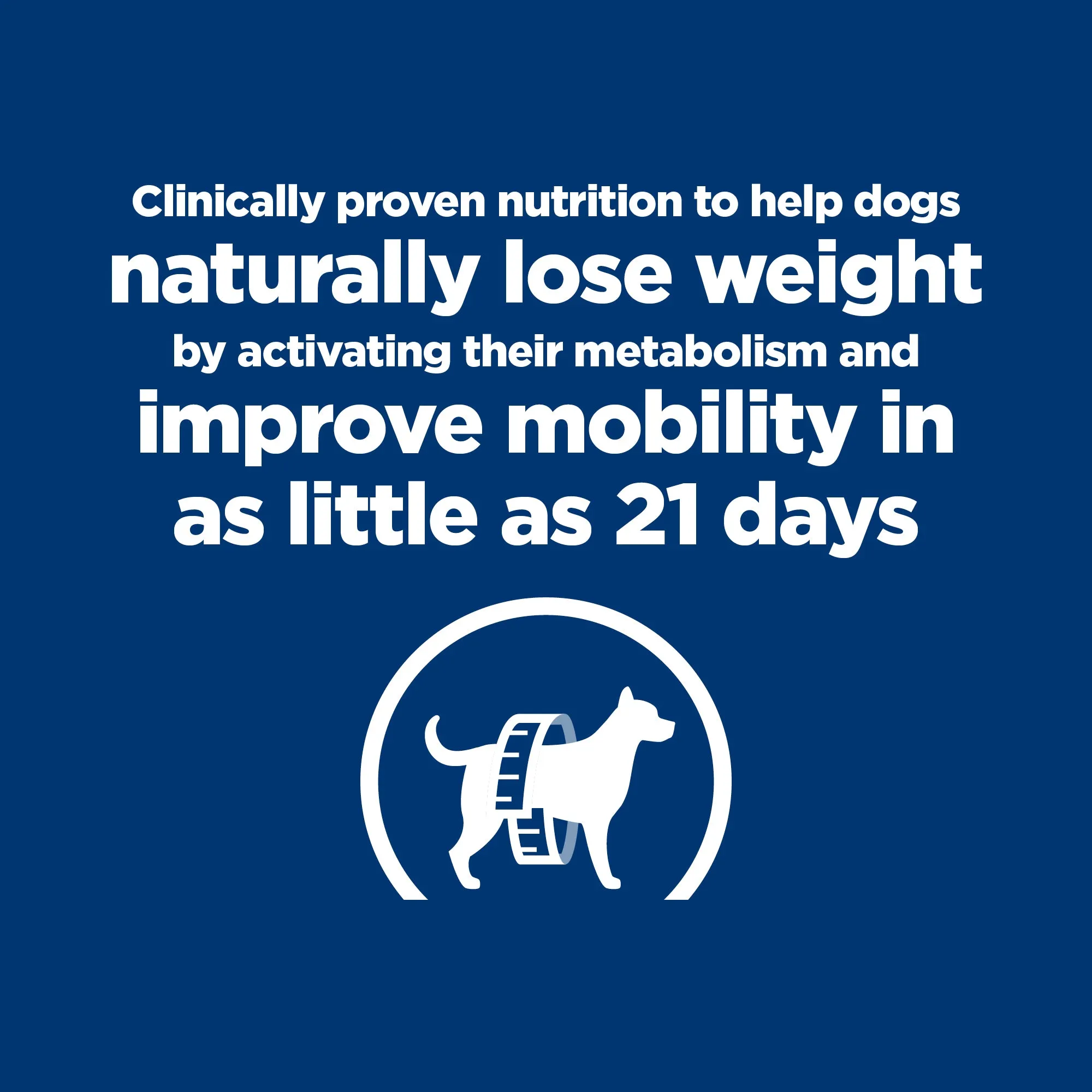 Hill's Prescription Diet Metabolic Weight   j/d Mobility Care Dry Dog Food 3.86kg