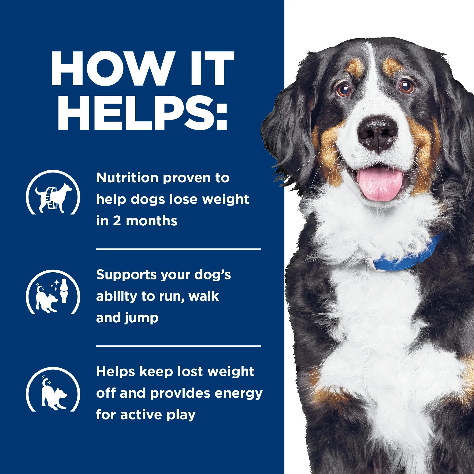Hill's Prescription Diet Metabolic Weight   j/d Mobility Care Dry Dog Food 3.86kg