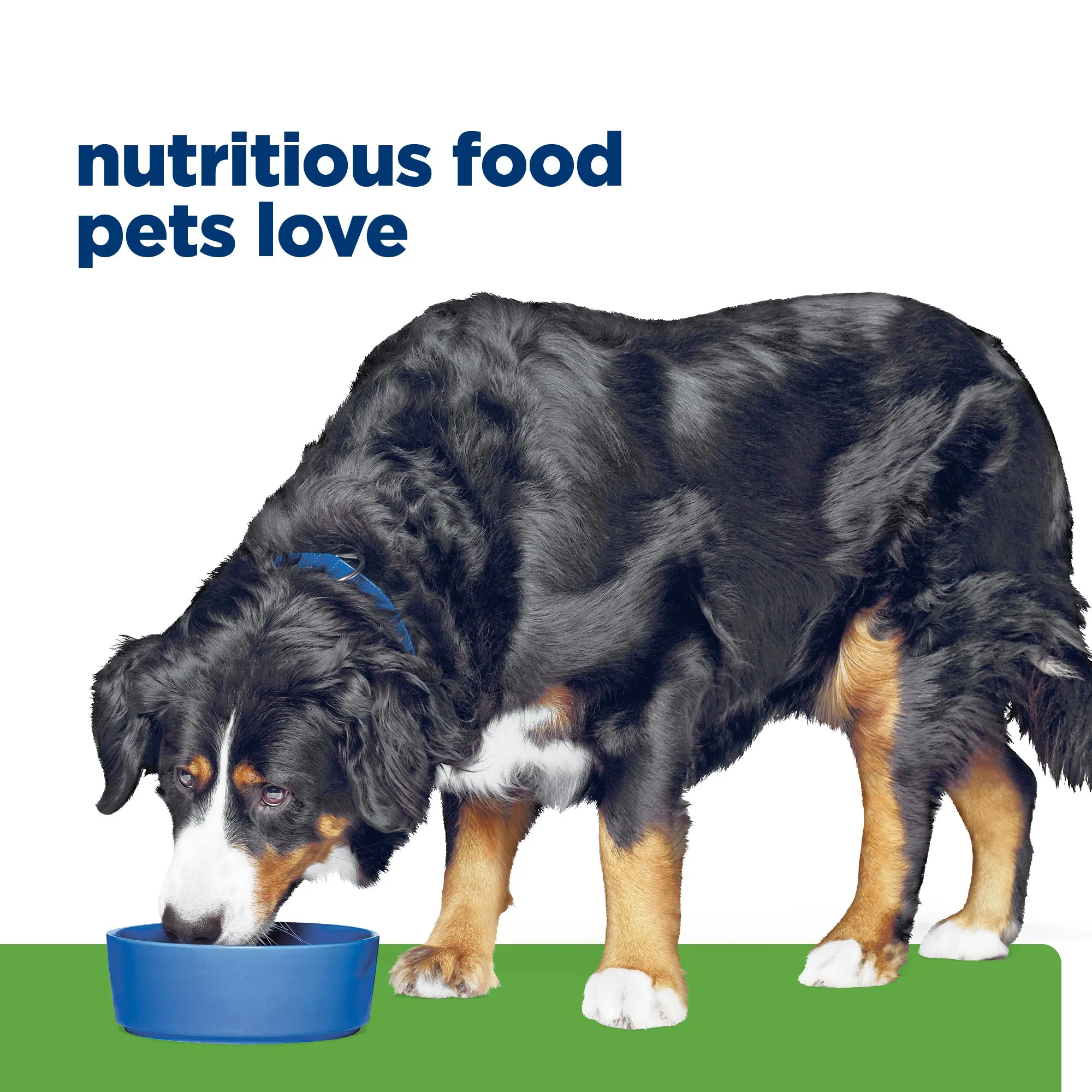 Hill's Prescription Diet Metabolic Weight   j/d Mobility Care Dry Dog Food 3.86kg