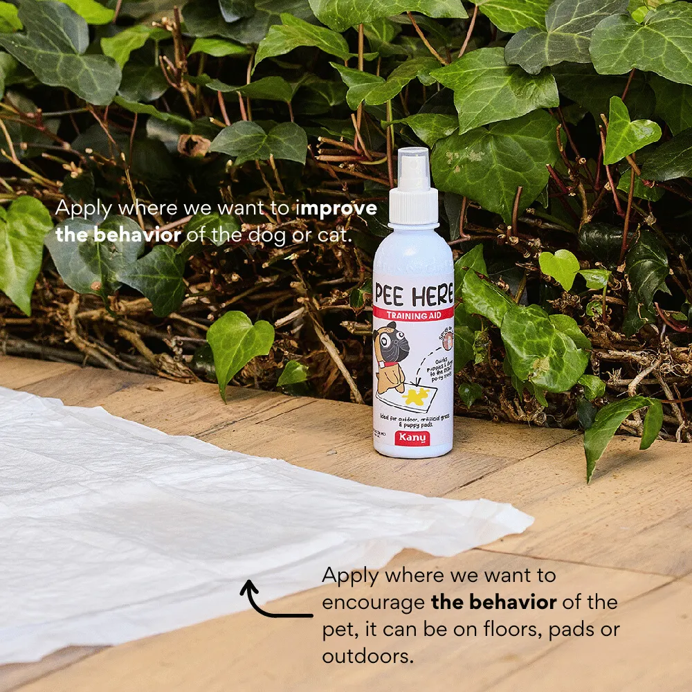 Kanu Pet Pee Here Training Aid Spray, Potty Training Solution