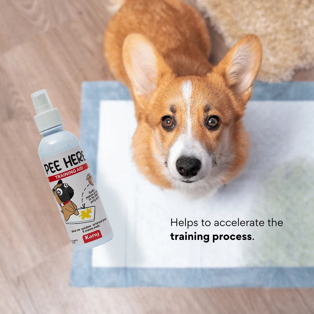 Kanu Pet Pee Here Training Aid Spray, Potty Training Solution