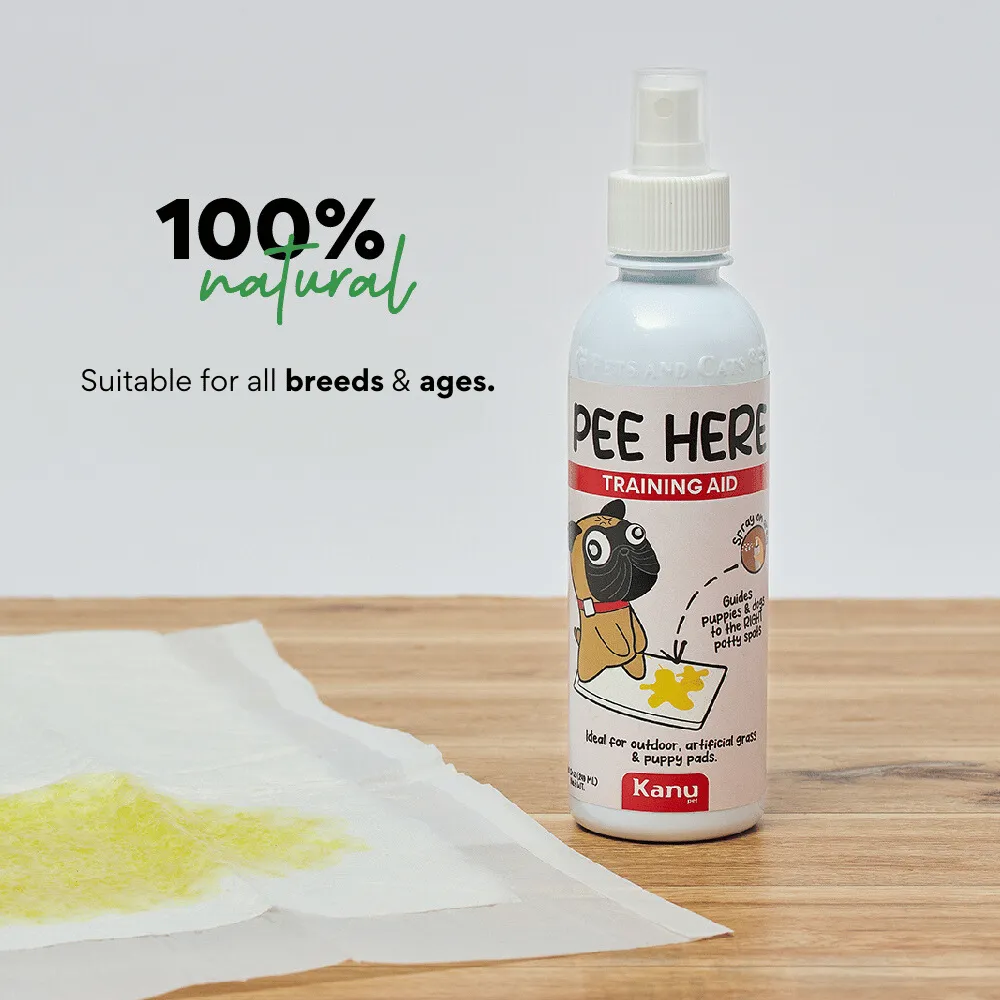 Kanu Pet Pee Here Training Aid Spray, Potty Training Solution