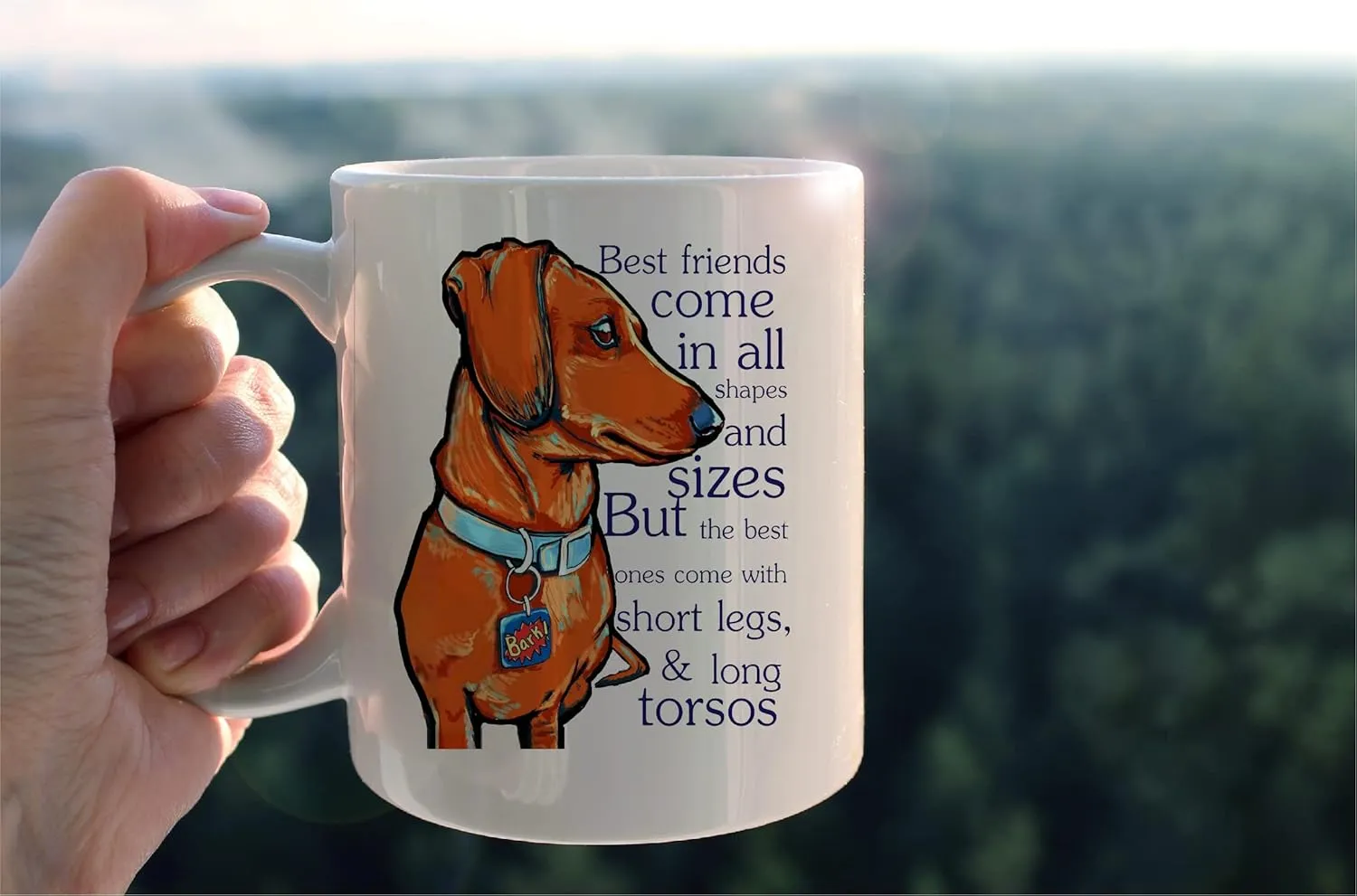 kunlisa Funny Dachshund Mug Cup,Best Friends Come in All Shapes And Sizes Ceramic Mug-11oz Coffee Milk Tea Mug Cup,Gifts For Dog Lovers Dachshund Mom Dog Mom Women Teen Girls,Pet Lovers Gifts