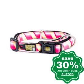 Max & Molly - Cat Collar - Lollipop