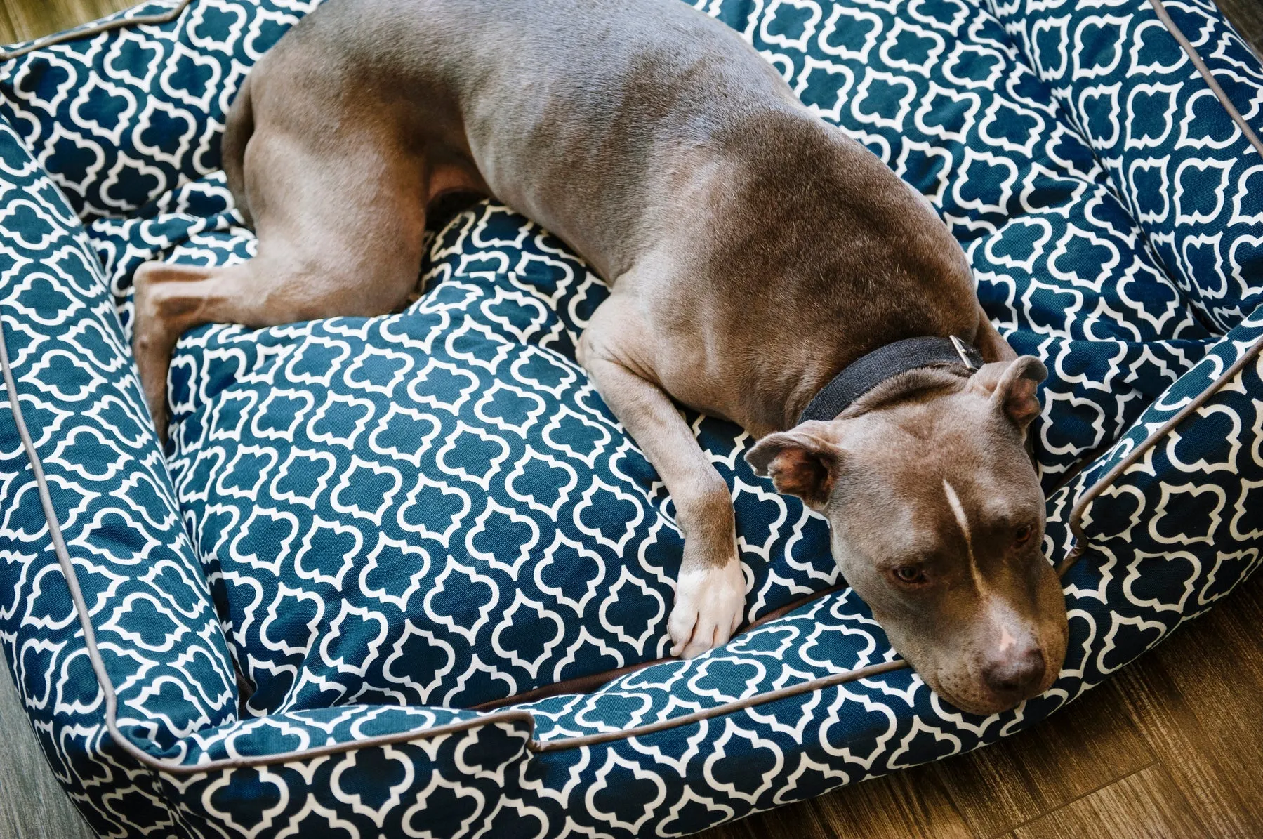 Moroccan Lounge Bed, Navy Blue