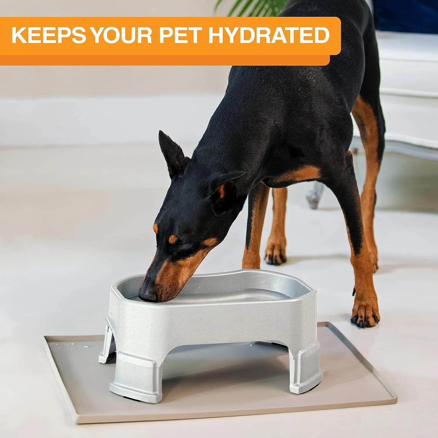 Neater Pet Brands Big Bowl with Leg Extensions Huge Jumbo Trough Style Dog Pet Water Dish (1.25 Gallons, Vanilla Bean)