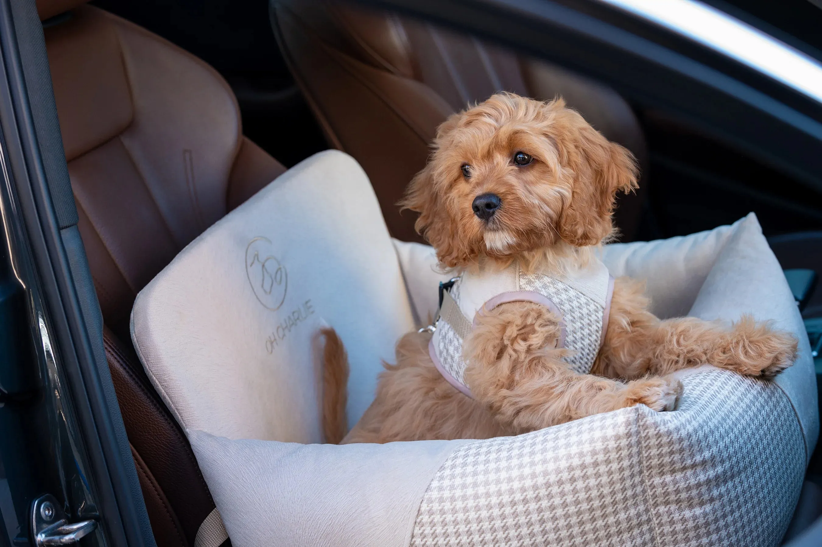 Oh Charlie Dog Car Seat Modern Finessa