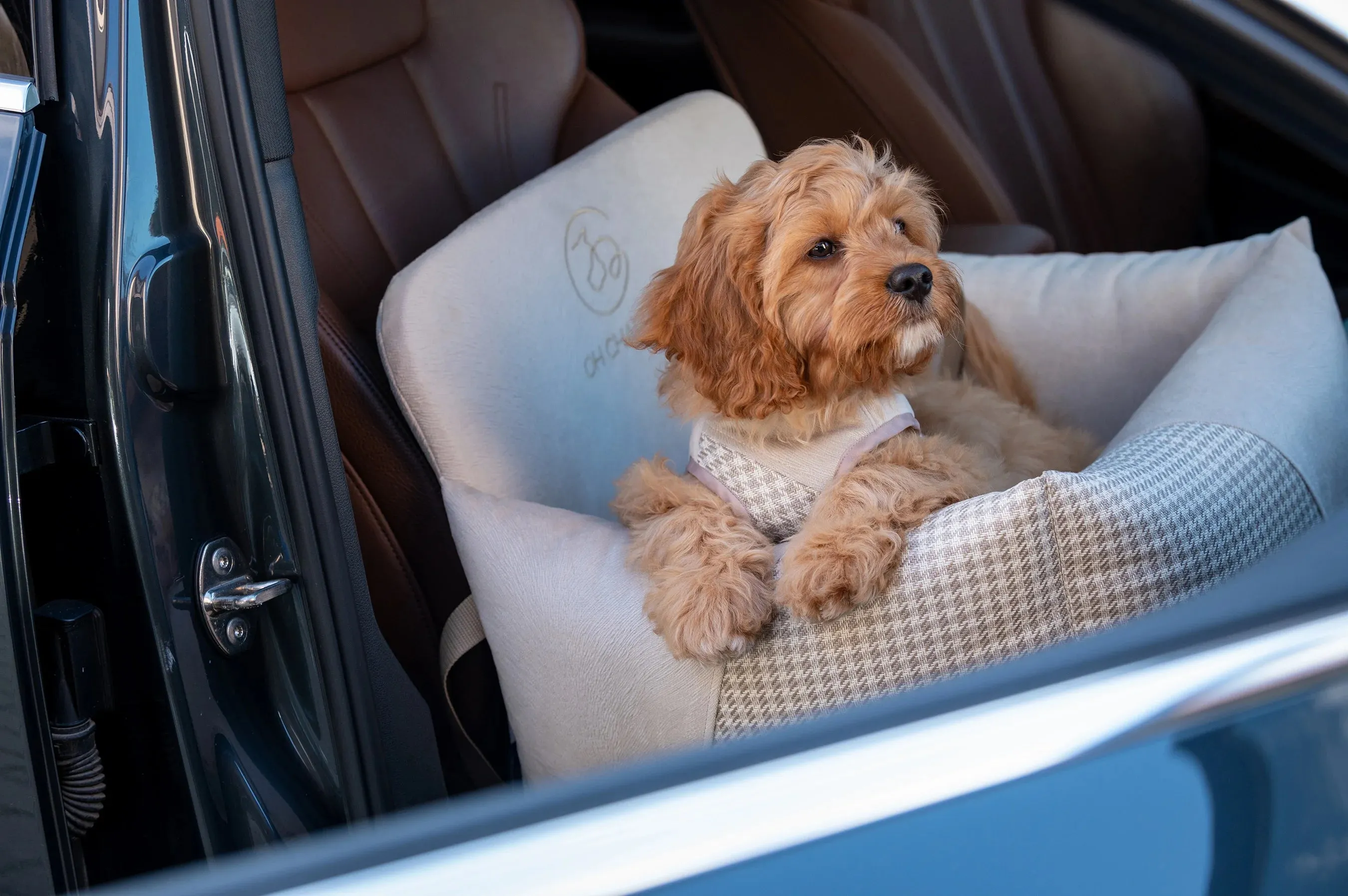 Oh Charlie Dog Car Seat Modern Finessa